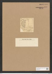Orthoneis barbadensis (Grev.) Grun. (de-Toni-Nr.: Genus 41, Species 1912) Zeichnungen Sammlung Grunow Nr. 3797 (NHMW-BOT-W0371472)